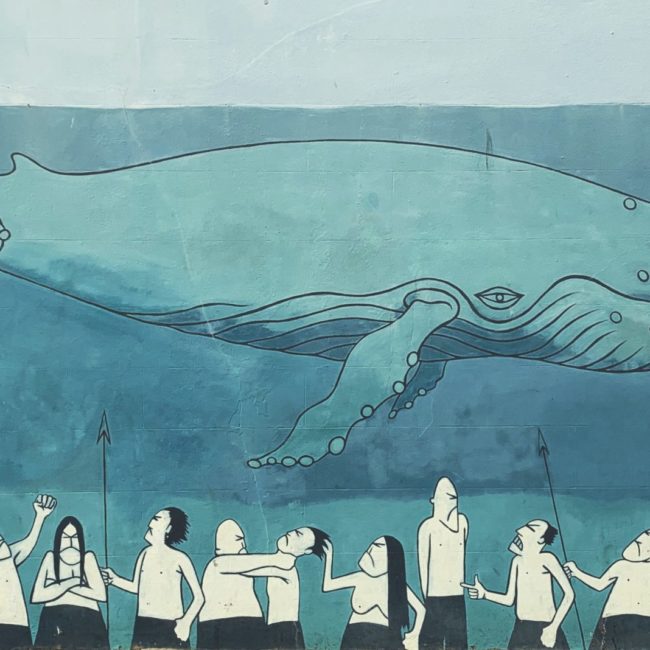 whale grafitti brighton