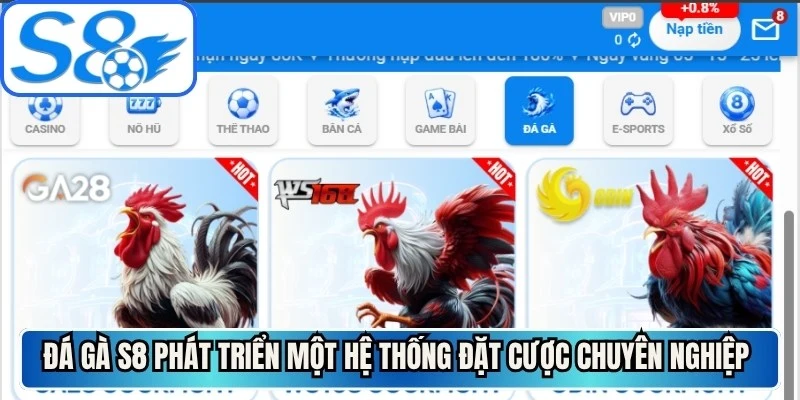 Đá gà S8 phát triển một hệ thống đặt cược chuyên nghiệp bậc nhất