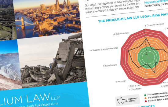 Proelium Law corporate brochure
